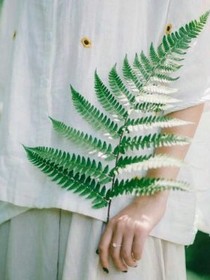 暗樱.