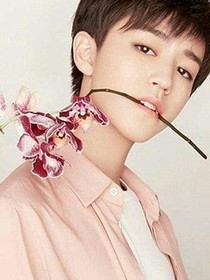 王俊凯之凯少绝宠糊涂小娇妻