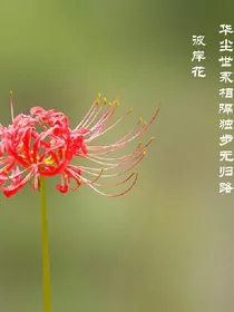 exo之世界之王的重生