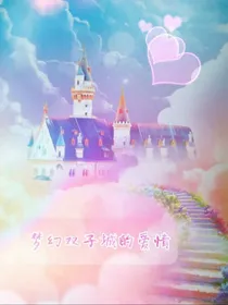 梦幻双子的爱情