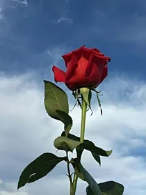 女角带你玩转娱乐圈