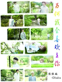 EXO之为何我会喜欢上你