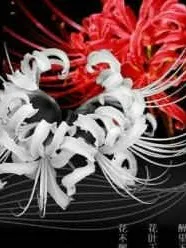 那生那世，那朵彼岸花