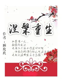 涅槃重生之虚拟世界