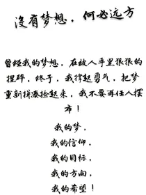 拼凑梦想