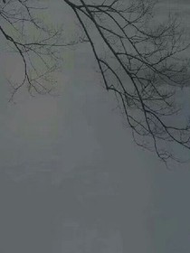 空山不见人