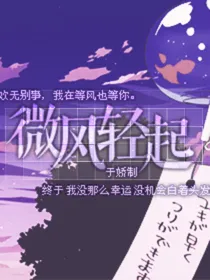 微风轻轻起：我在等风也等你