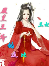腹黑王爷逗比王妃