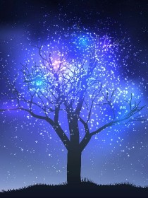 星空树