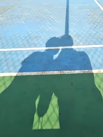 离歌笑趁年华