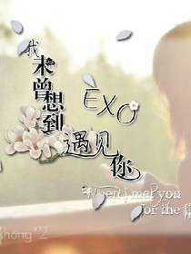 我未曾想遇见你
