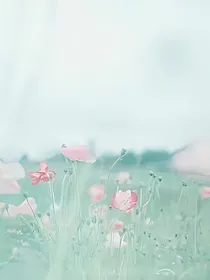 静静地等待