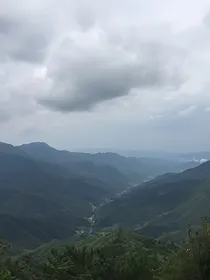 伤心治疗法