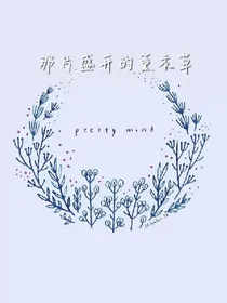 那片盛开的薰衣草