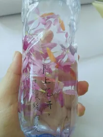 陌上花开之等爱归来