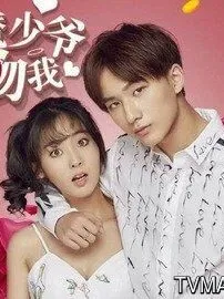 恶魔少爷别吻我之安初夏和恶魔少爷的爱