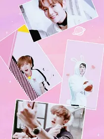 EXO：我的邻居是花美男