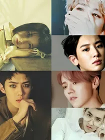 EXO:野心家