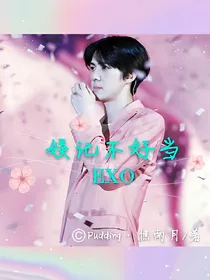 EXO:娱记不好当