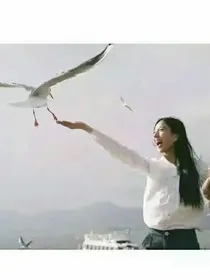 青涩校园之奇葩