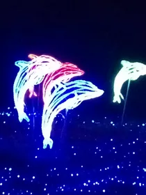 楚乔传2017
