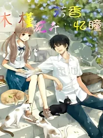 木槿花开，芳香忆瞳