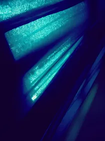 那些枫叶，吹过了雪
