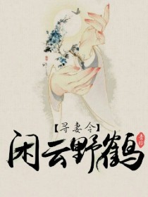 寻妻令：闲云野鹤