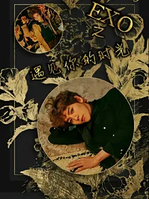 边伯贤之遇见你的时光