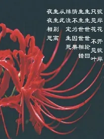 tfboys之梦中的彼岸花