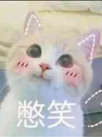 逗比段子集