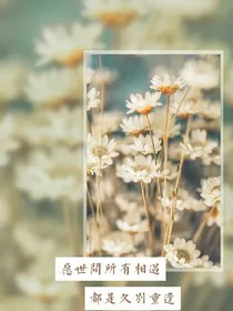 扑倒十二贵族美男