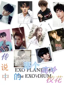 传说中的那个高冷校花（EXO）