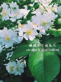 触碰不到的恋人