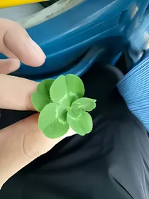 欢乐校园生活