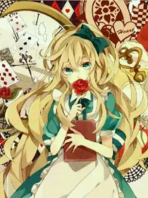 泪如羽夏