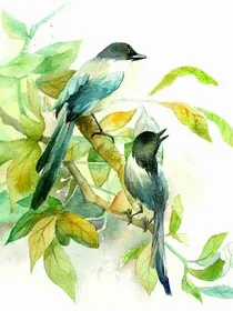 重生鬼仙:师兄我们双修吧