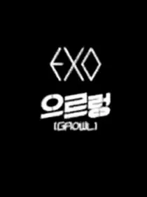 exo之第十三位新成员