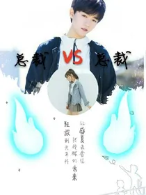 总裁VS总裁