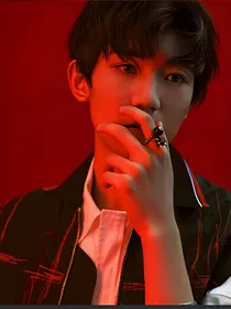 tfboys来宠你