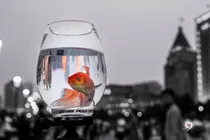 或深或浅