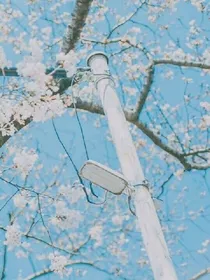 鹿晗之因为爱你