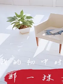 我的初中时