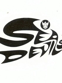 魔为尊