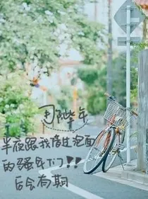 我在回忆里.等你