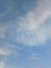 我放弃过的年华不缺一个你