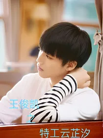 王俊凯之特工云芷汐