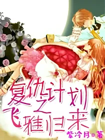 复仇计划之飞雅归来