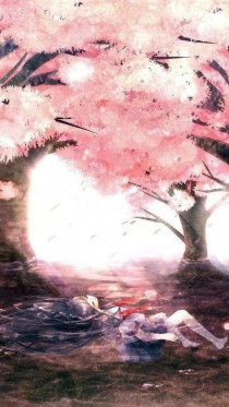 樱花树下与你相遇