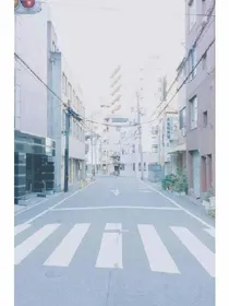 枫陌云归